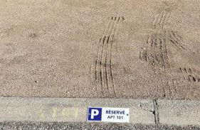 Appt Studio avec Balcon Parking privé, Piscine, proche Golf St Donat - Foto 25