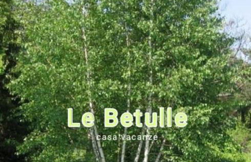 Le Betulle - Foto 56
