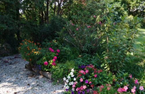 Cascina Linét - Foto 10