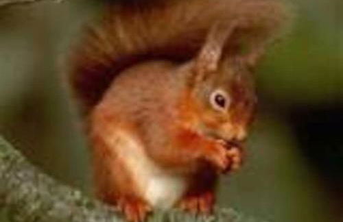 Gorgeous Comfy Cottage Walking Birdwatching Paddle Boarding and Seafood on the Doorstep - Foto 38