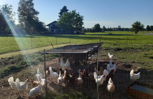 Apartment Moosblick zwischen Bergen und See - Foto 13