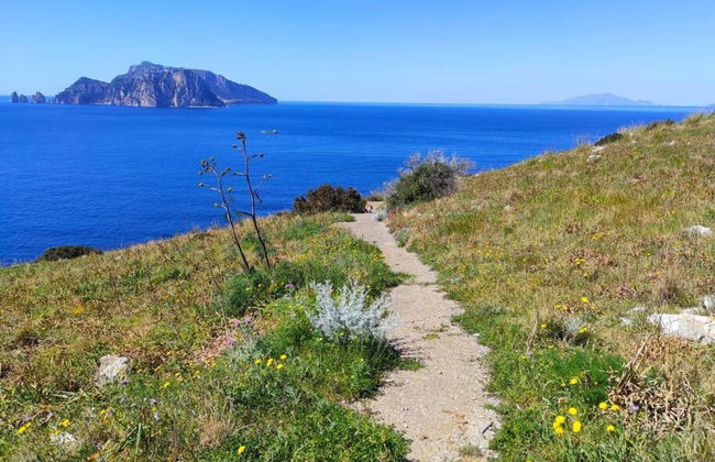 Domus Smeraldo Terrace and sea View Amalfi Coast - Photo 22