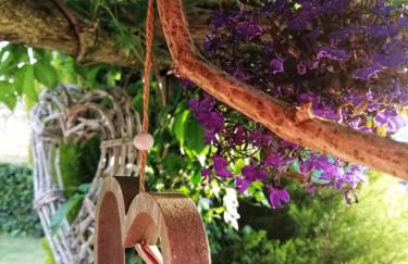 Podere Montecorno - Foto 11