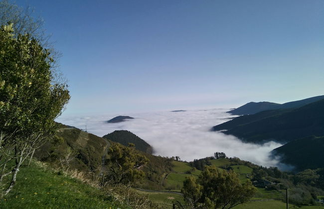 Casa Remedios - Foto 17