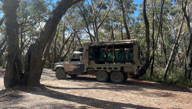 Tour en camión militar por las Montañas Azules - Foto 3, Recorriendo las Montañas Azules en un camión militar