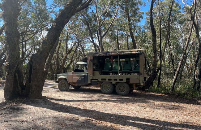 Blue Mountains Tour from Katoomba - Photo 3