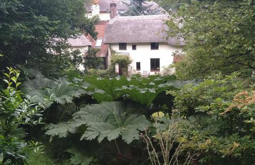 The Woodstore - Foto 11