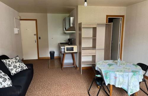 Grand studio proche commerces - Foto 5