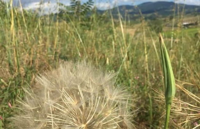 Poggio alla Pietra 26 - Foto 56