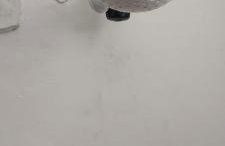 Apê Aconchegante 3 - Foto 9