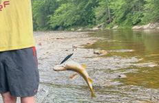 CampRV Main Lodge - Foto 45