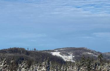 Duszek Lasu - Foto 10