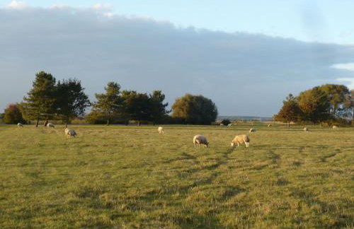 Cottage in Brookland Near Romney Marsh Beach - Photo 30
