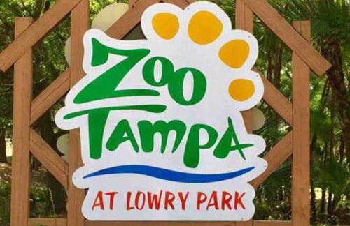 No Ho yellow door bungalow - Foto 21