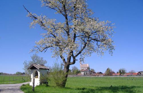 Landhaus Fürberger - Foto 9