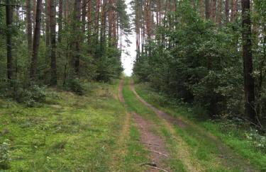 Zacisze Siemiany - Foto 21