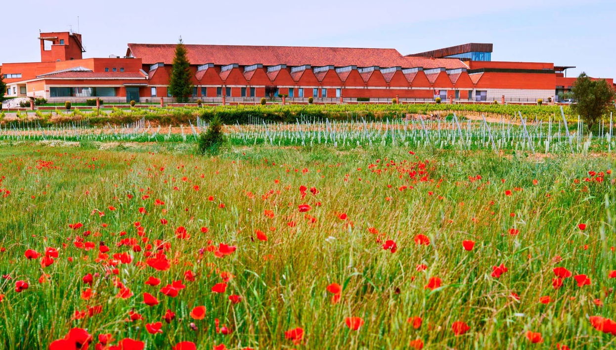 Besuch im Weingut ENATE - Foto 1