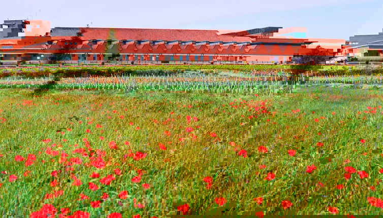 Visit to the ENATE winery