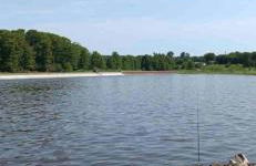 Southern Magnolia House with Porch Swing - Foto 23