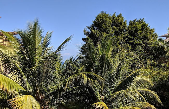 Gems at CrystalCove - Foto 35