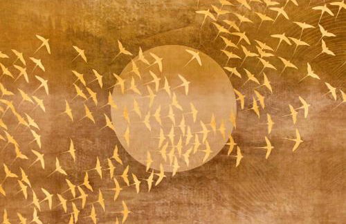 Restart Accommodations Ada - Foto 29