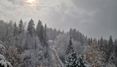Alpine 1 bed Chalet with beautiful views - Foto 2