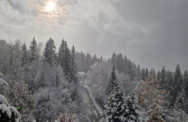 Alpine 1 bed Chalet with beautiful views - Foto 2