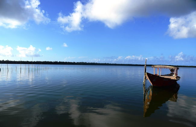 Daaven's Island Resort - Photo 39