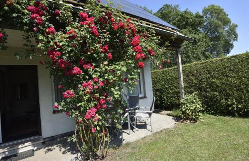 Ferienhaus in Neubukow mit Terrasse - Foto 7