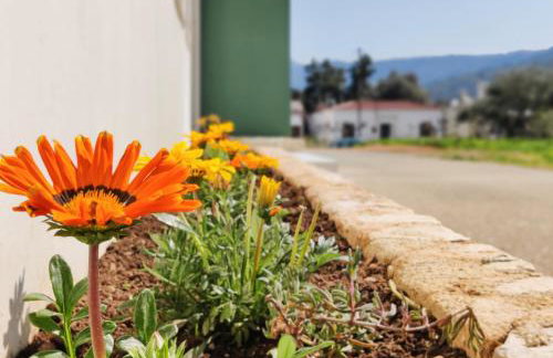 Thelma and Louise house - Foto 27