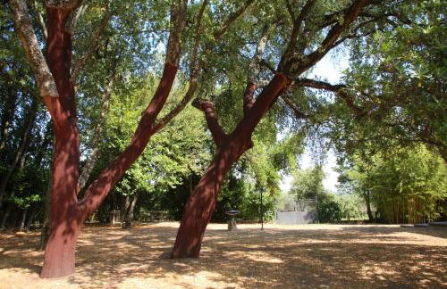 Agriturismo Casale Zuccari - Foto 51