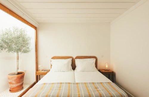 Pateiro da Silva Family Farmers - Foto 3