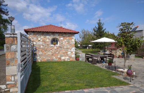 AMISIANA LITTLE BEAUTY NEXT TO NATURE - Foto 26