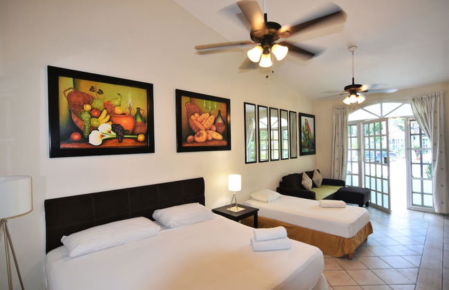 Tulipanes Cancun - Foto 7