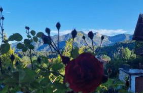 Ferienhaus Faistenau - Foto 22