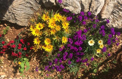 APARTMENT ŽUŽI Otok Silba Hrvatska - Foto 21