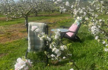 Campbell's Cottage - Foto 8