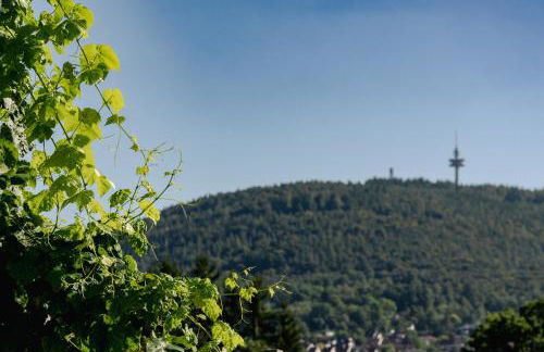 Bürgstadt, Am Bischof mit Sonnenterrasse, 1 bis 4 Betten - Foto 64
