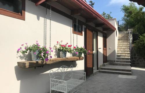 Tenuta calidarius - Foto 69