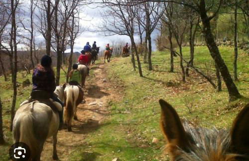 Los Kukos Casa Rural - Foto 22