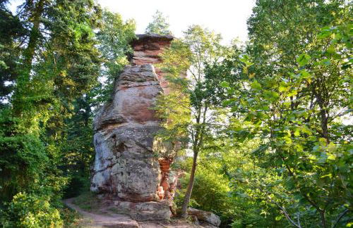 Le Gîte de l'Ecureuil - Foto 50
