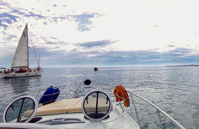 Champagner-Abendtour zur Ponta da Piedade mit Getränken und Tapas - Foto 13