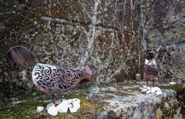 Casa dos Livros - Guest House - Foto 64