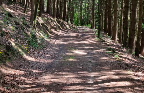 Ferienwohnung Andermann - Foto 28