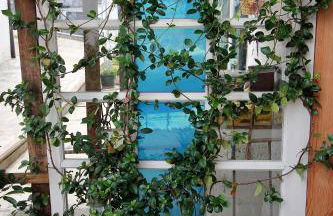 Simona Comfort e Relax tra Bologna e Firenze 8 min A1 - Foto 52