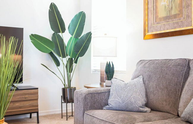 Capri Maricopa - Foto 14