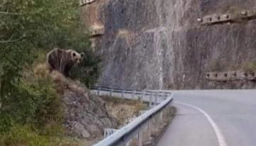 Casa Rural Calecha - Photo 2