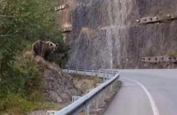 Casa Rural Calecha - Photo 2