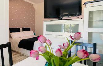 Le Chai de l'Océan - Studio Avec jardin et terrasse - plage 300 m - Foto 6