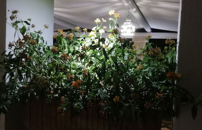 Dimora San Quirico - Photo 21